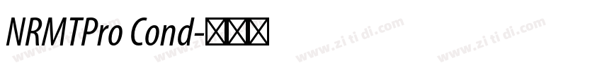 NRMTPro Cond字体转换